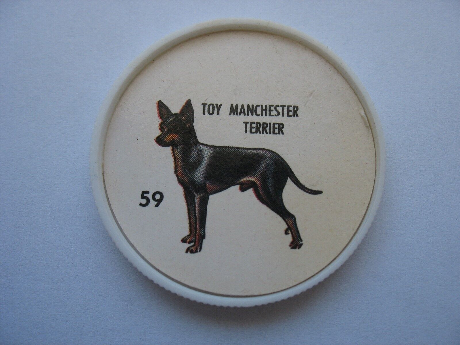 Dog Coin - Toy Manchester Terrier