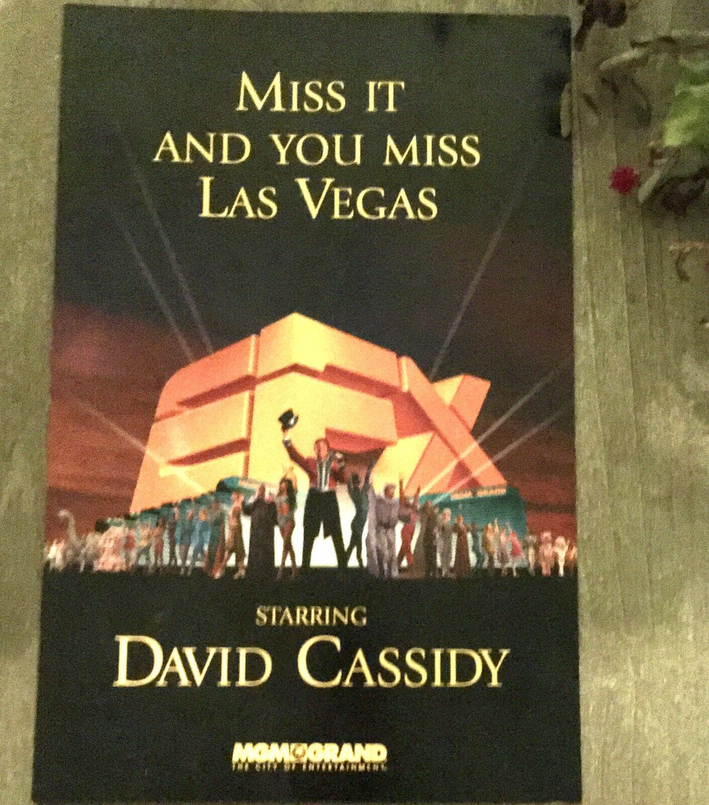 David Cassidy Las Vegas Nevada Mgm Grand Efx Show Program Rare With Bonus